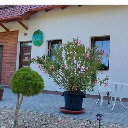 Patak Vendeghaz Hotell Zalaegerszeg Exteriör bild